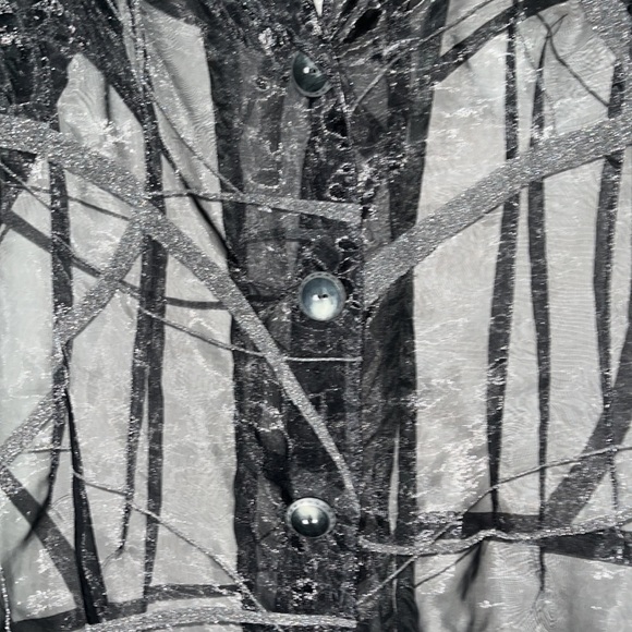 VINTAGE | Sheer Organza Longsleeve Button Up | medium - Picture 4 of 5